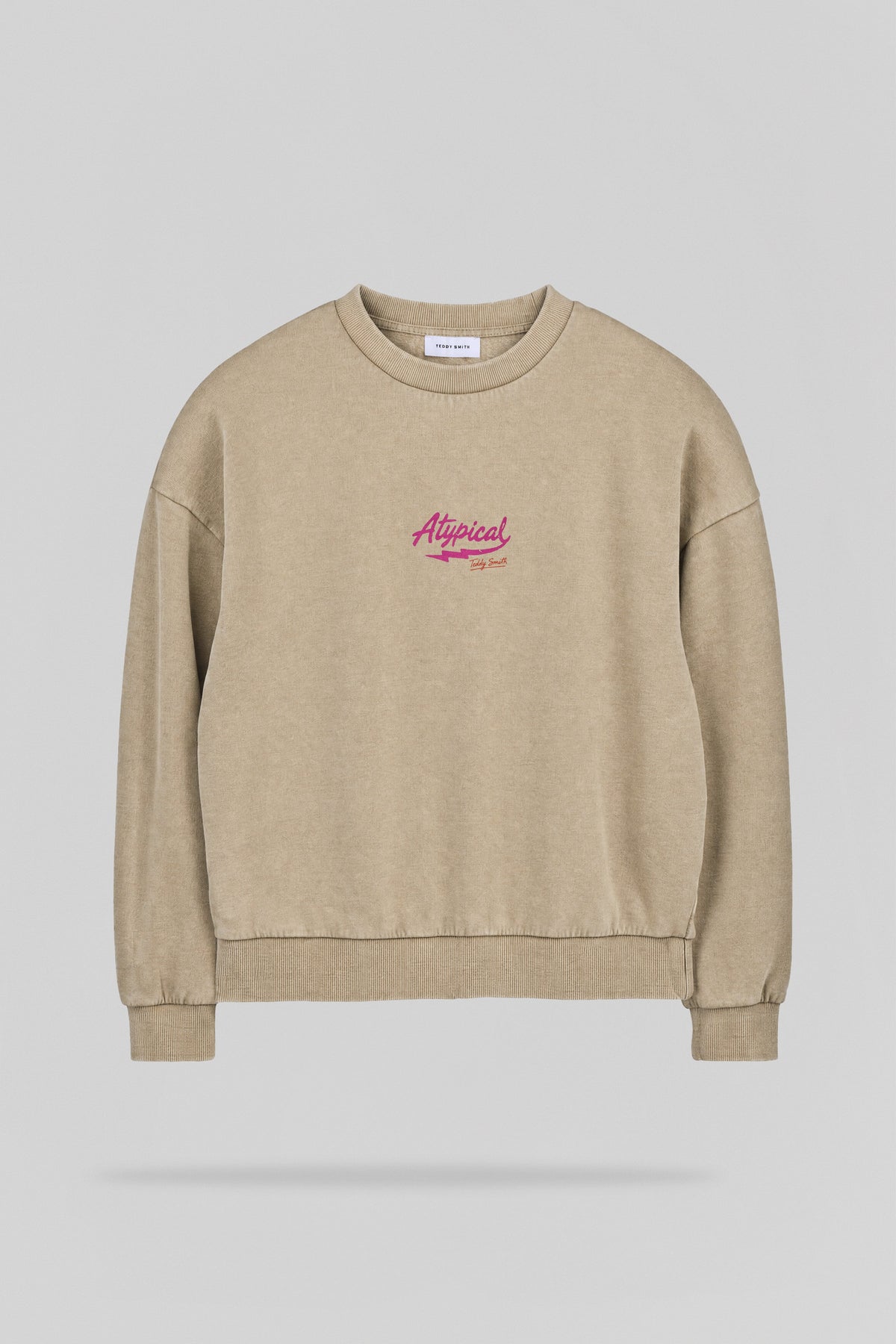 Sweat imprimé S-ATYPICAL RC WOLF BEIGE - 1