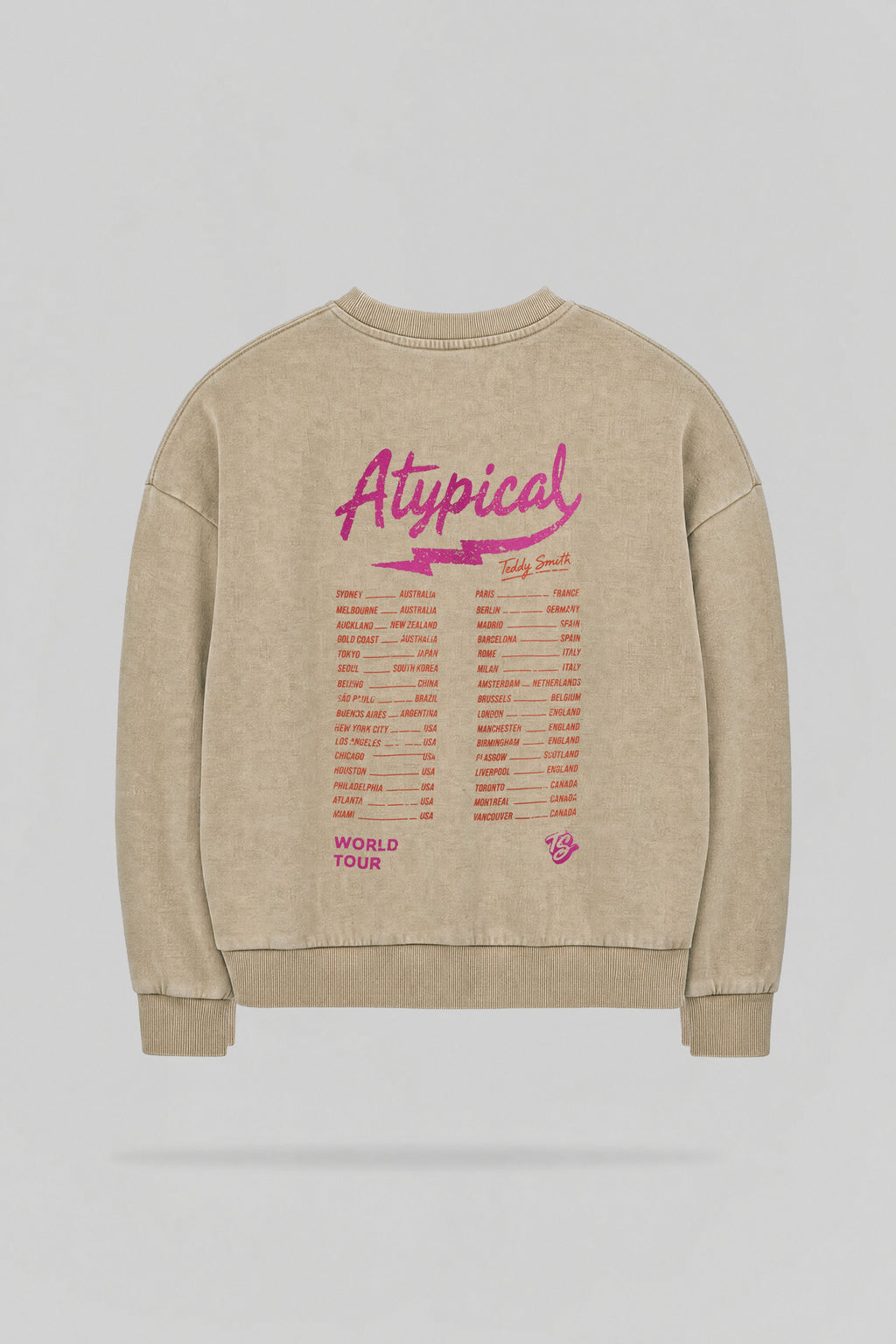 Sweat imprimé S-ATYPICAL RC WOLF BEIGE - 2