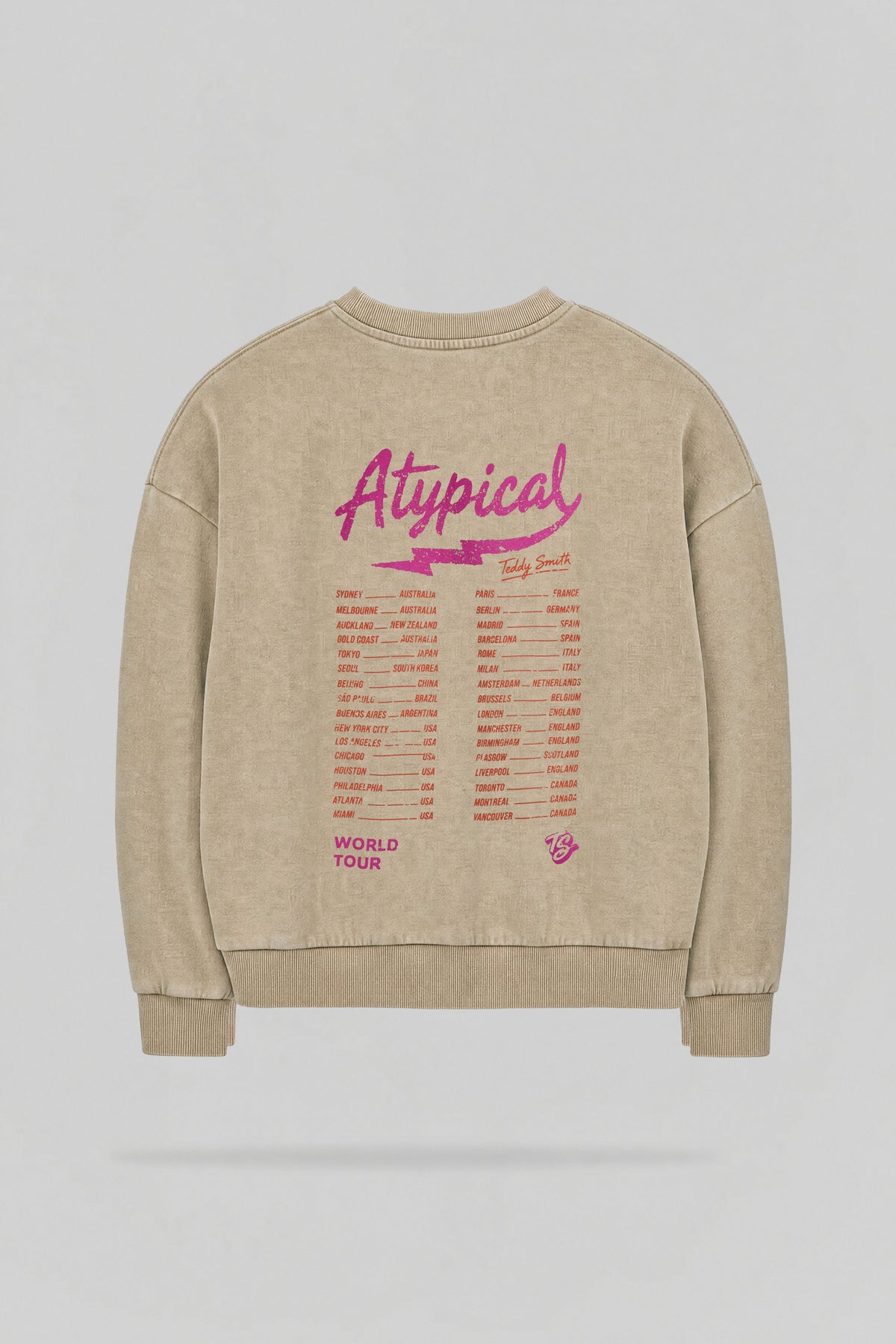 Sweat imprimé S-ATYPICAL RC WOLF BEIGE - 2